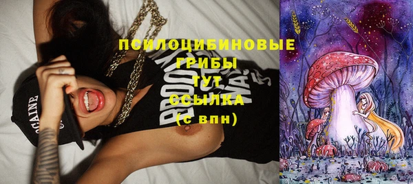 спайс Осташков