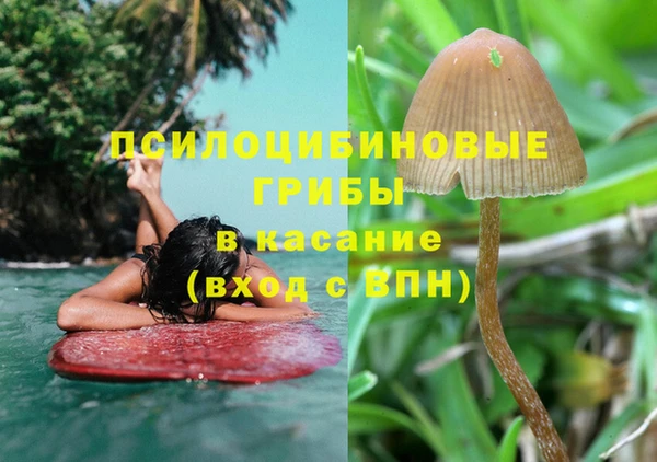 спайс Осташков