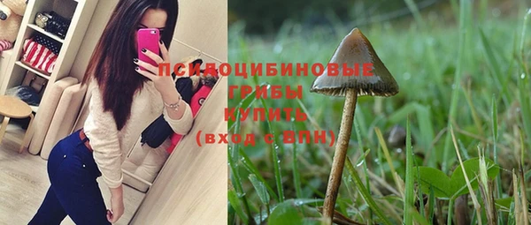 спайс Осташков