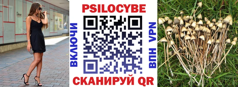 Галлюциногенные грибы Cubensis  Кинель 