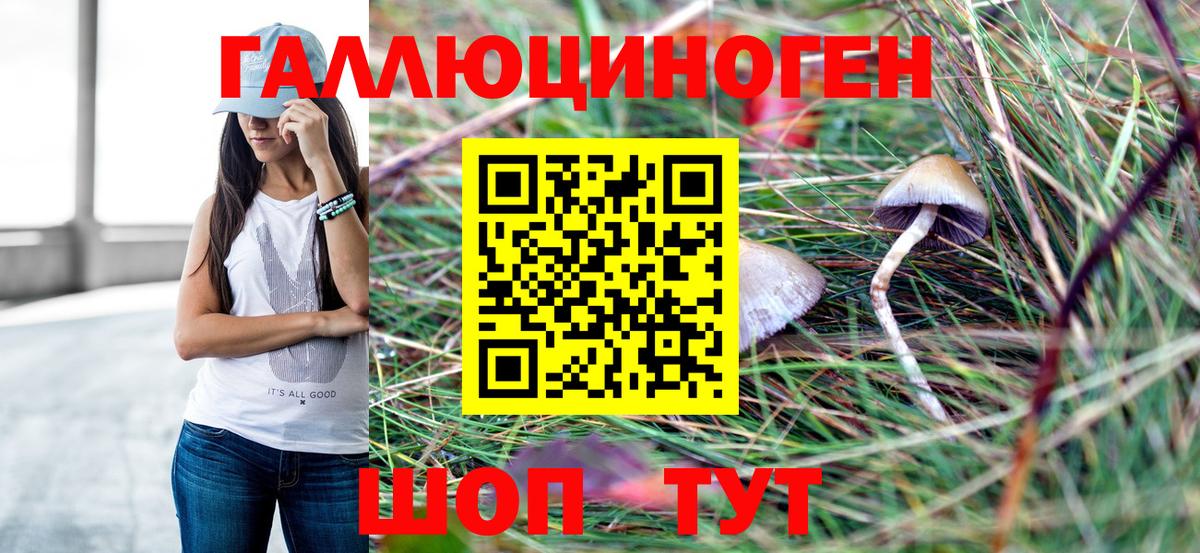 Галлюциногенные грибы Psilocybe Кинель