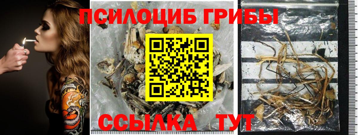 Галлюциногенные грибы мицелий  купить наркотик  Галлюциногенные грибы Psilocybe  Кинель  Вход с VPN 