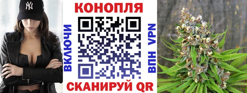 МАРИХУАНА сатива  Кинель 