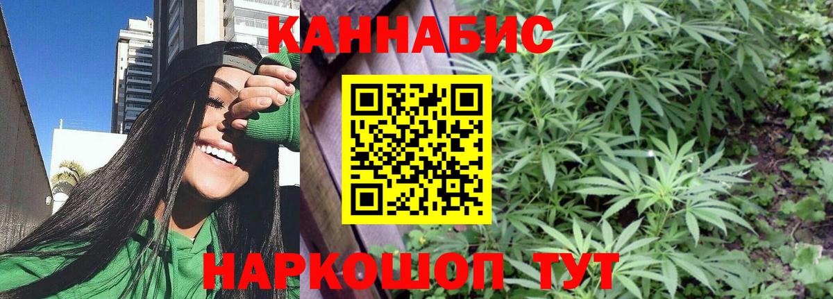 Канабис конопля Кинель
